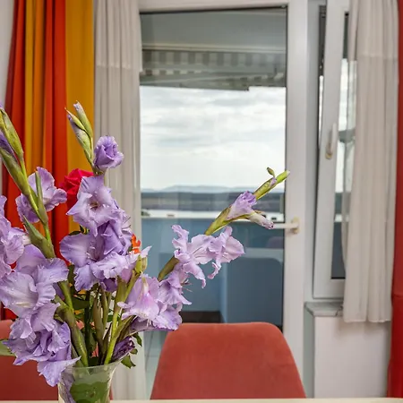Navy Apartments Апартаменты Ядраново